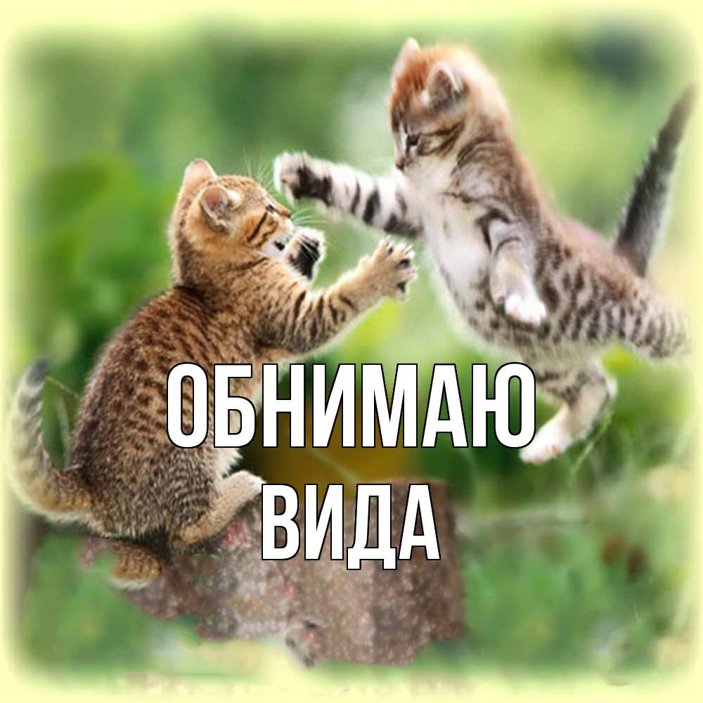 Открытка  с именем. Вида, Обнимаю  