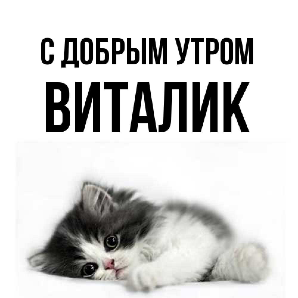 Открытка  с именем. Виталик, С добрым утром  