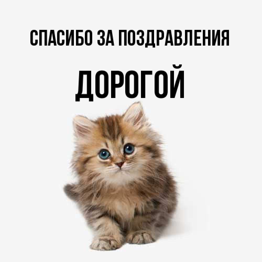 Открытка  с именем. Дорогой, Спасибо за поздравления  