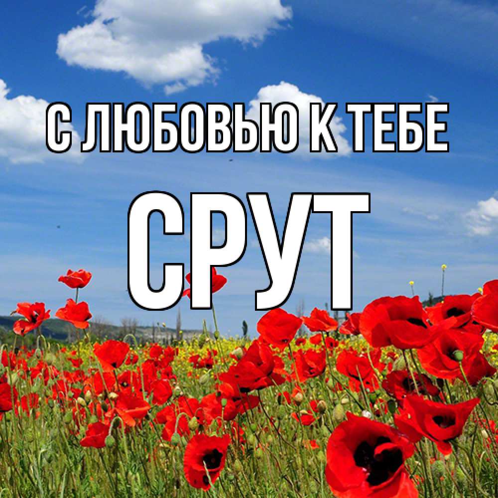 Открытка  с именем. срут, С любовью к тебе  