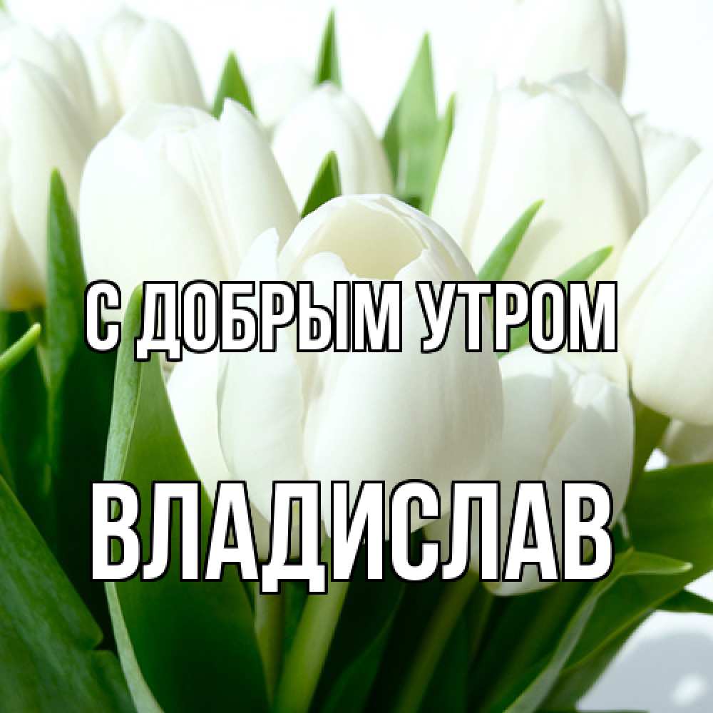 Открытка  с именем. Владислав, С добрым утром  