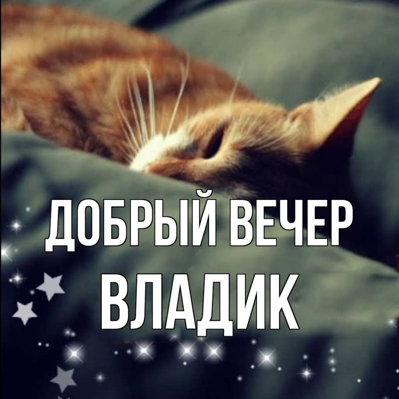 Картинка Добрый вечер, Владик