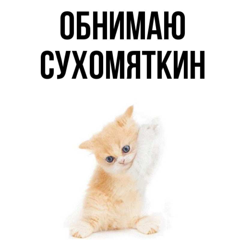 Картинка Обнимаю, Сухомяткин