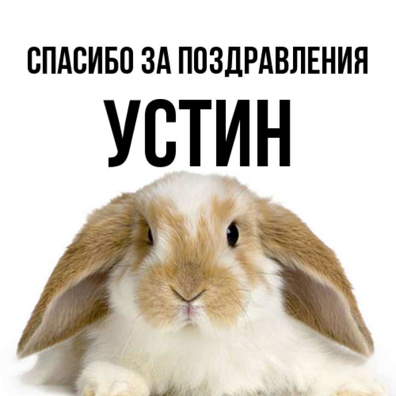 Картинка Спасибо за поздравления, Устин