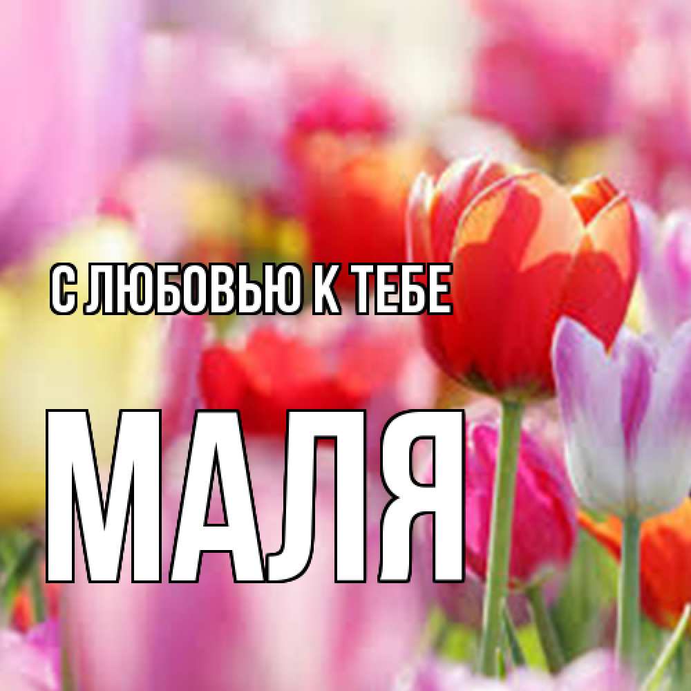 Открытка  с именем. Маля, С любовью к тебе  