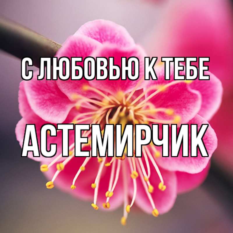 Картинка С любовью к тебе, Астемирчик