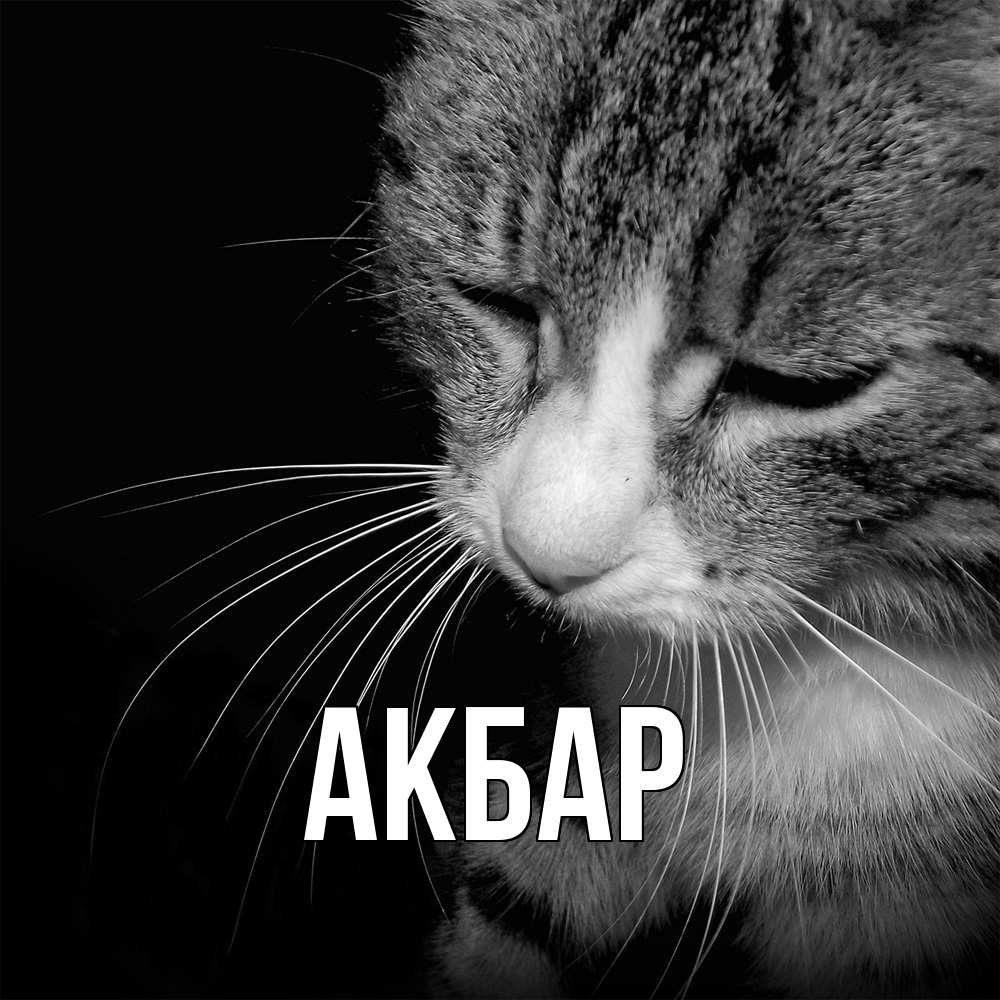 Открытка  с именем. Акбар, Главная  