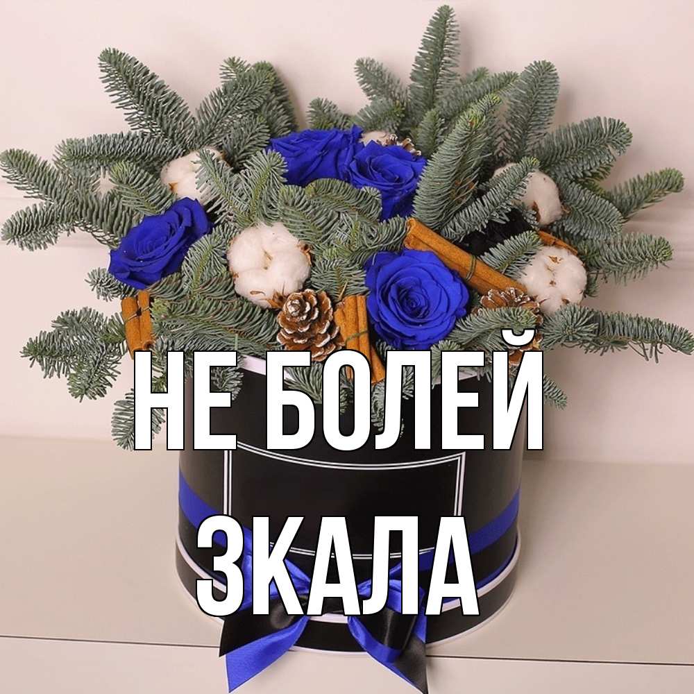 Открытка  с именем. ЗКАЛА, Не болей  