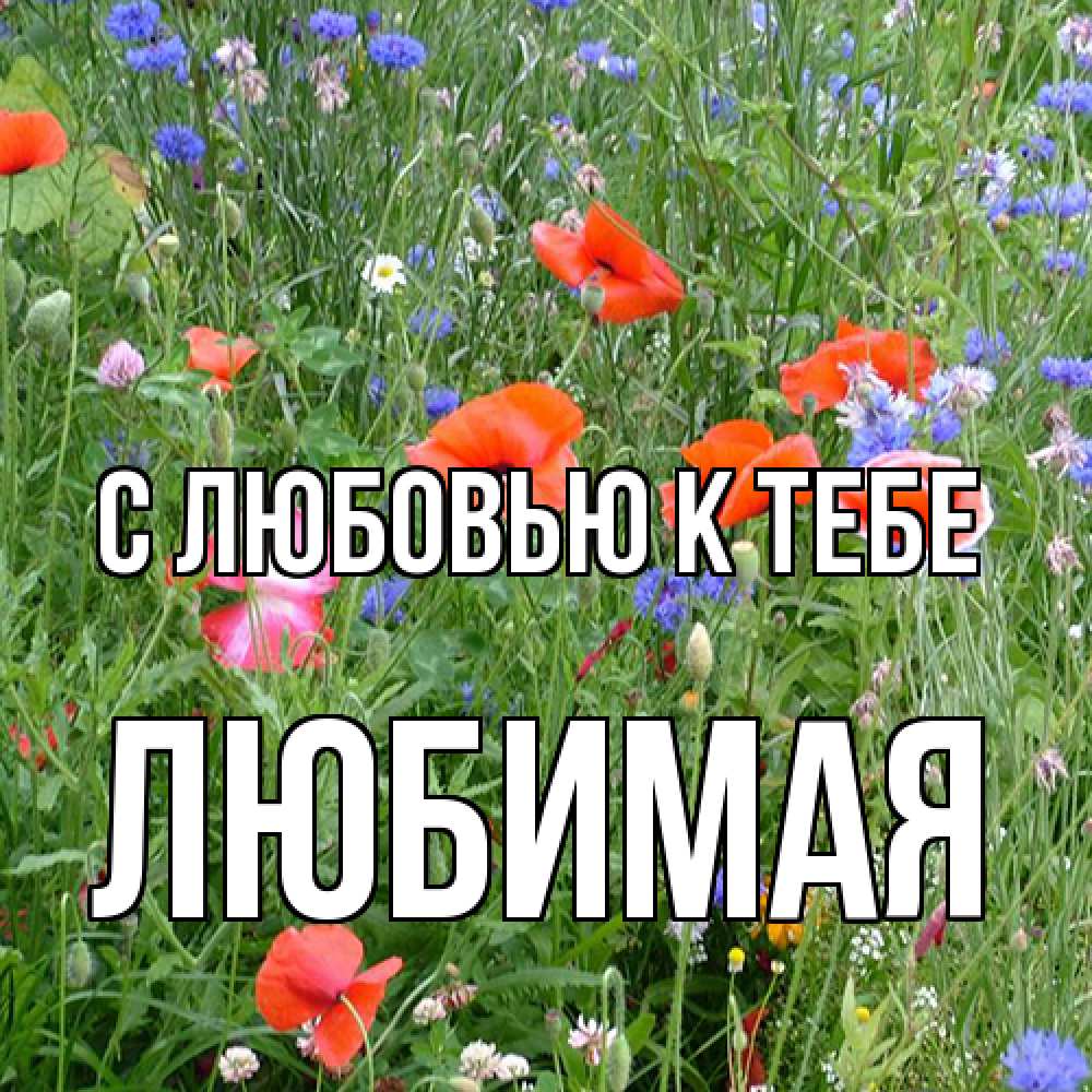 Открытка  с именем. Любимая, С любовью к тебе  