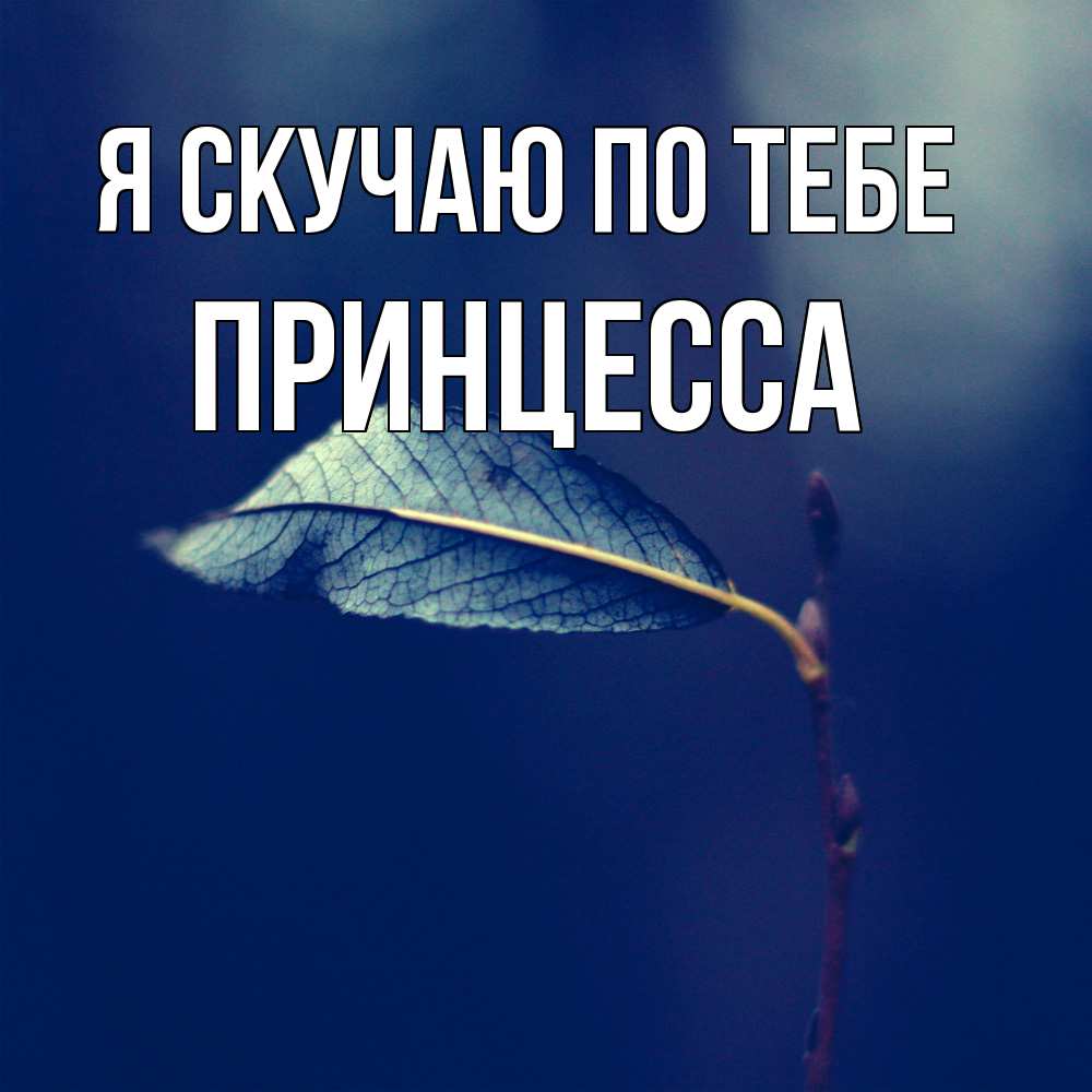 Открытка  с именем. Принцесса, Я скучаю по тебе  