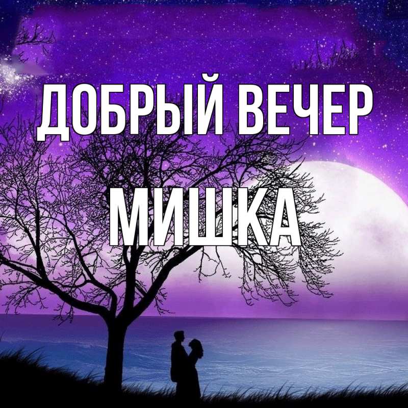 Картинка Добрый вечер, Мишка