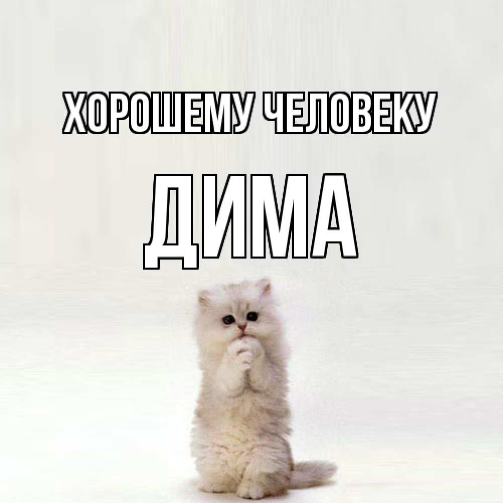 Открытка  с именем. Дима, Хорошему человеку  