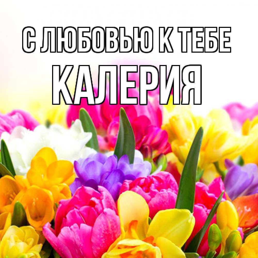 Открытка  с именем. Калерия, С любовью к тебе  