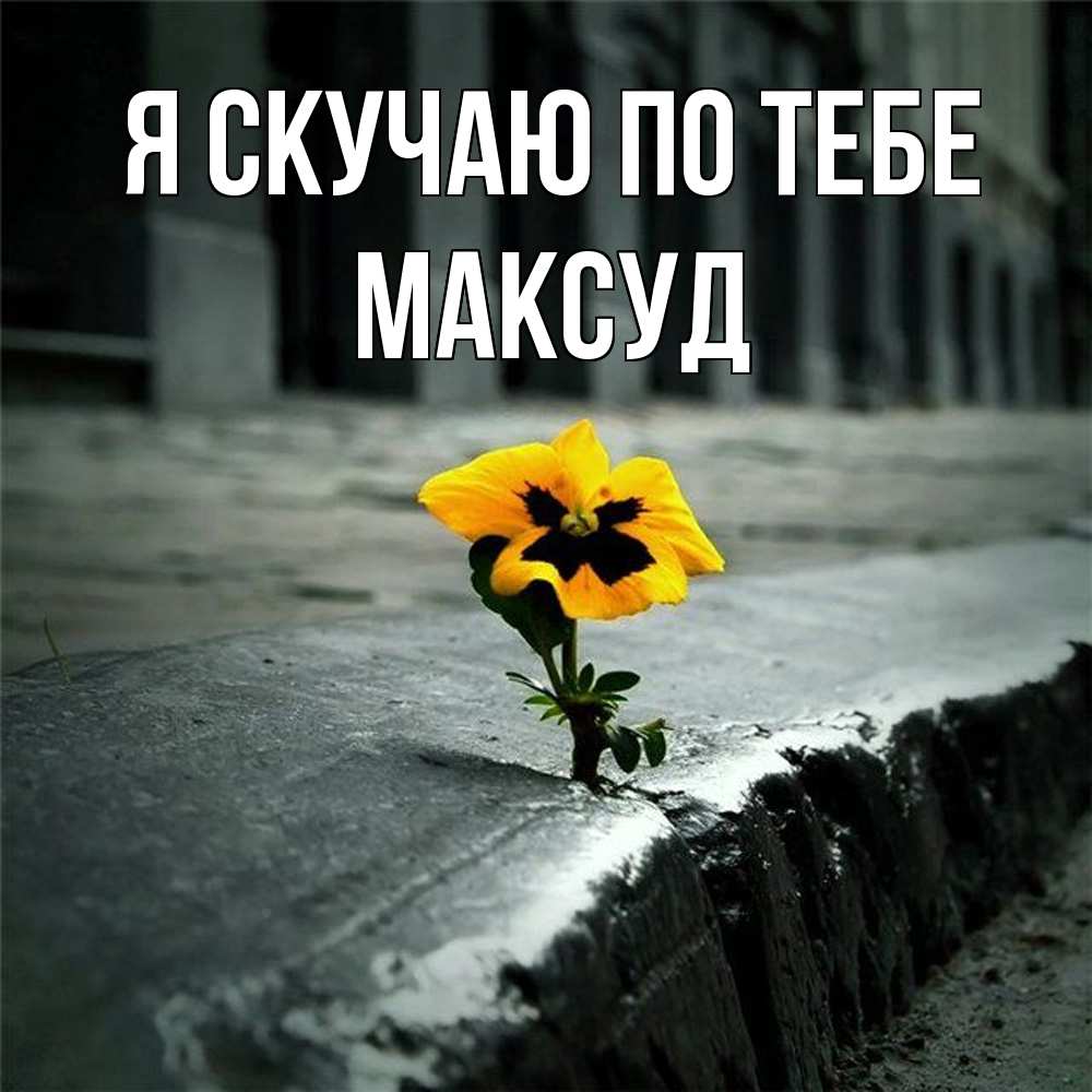 Открытка  с именем. Максуд, Я скучаю по тебе  