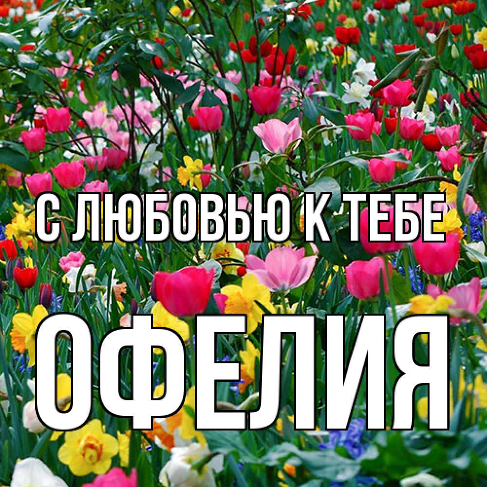 Открытка  с именем. Офелия, С любовью к тебе  
