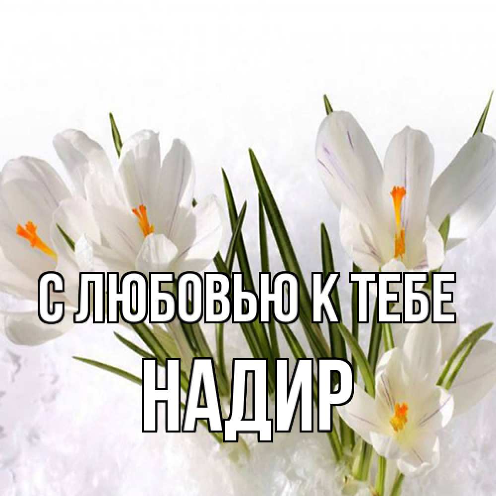 Открытка  с именем. Надир, С любовью к тебе  