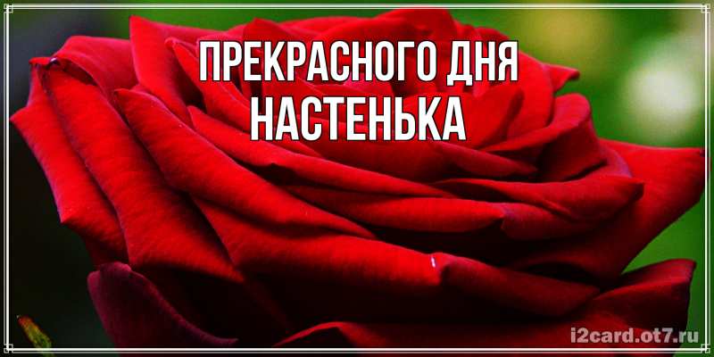 Картинка Прекрасного дня, Настенька