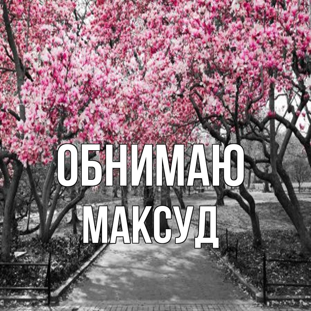 Открытка  с именем. Максуд, Обнимаю  