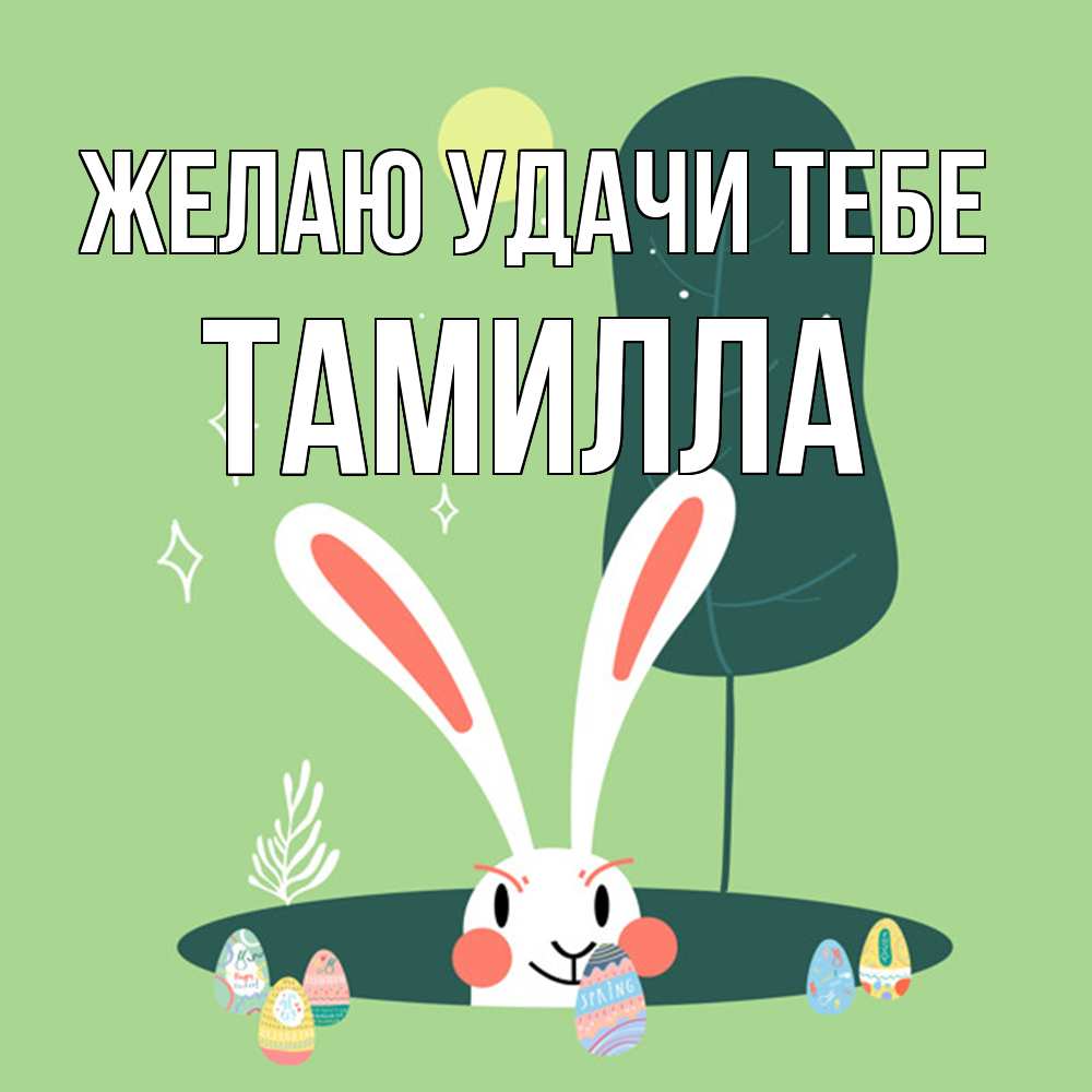 Открытка  с именем. Тамилла, Желаю удачи тебе  