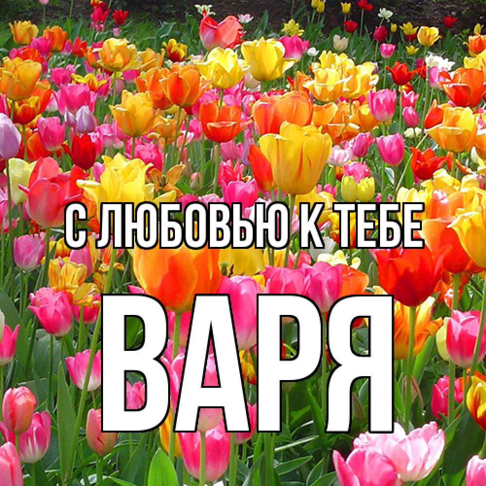 Открытка  с именем. варя, С любовью к тебе  