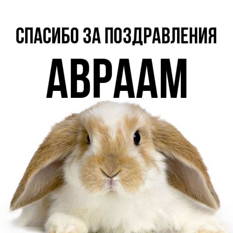 Картинка Спасибо за поздравления, Авраам