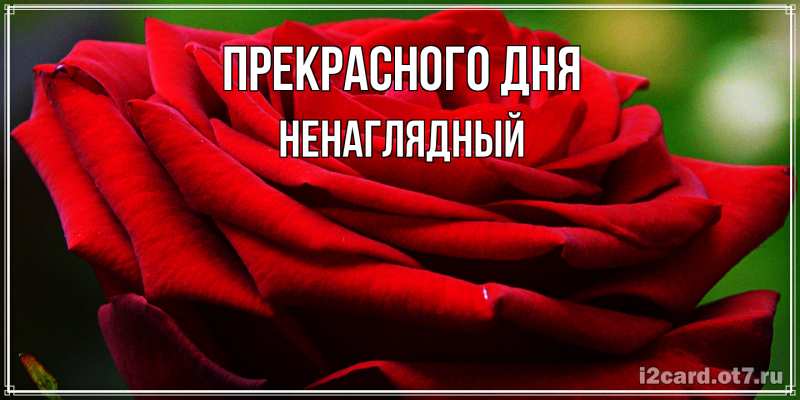 Картинка Прекрасного дня, Ненаглядный