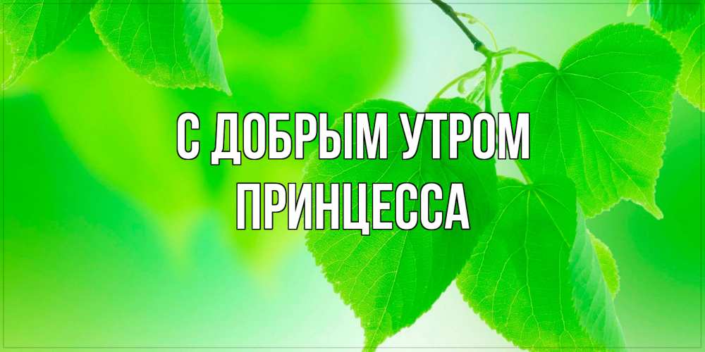 Открытка  с именем. Принцесса, С добрым утром  