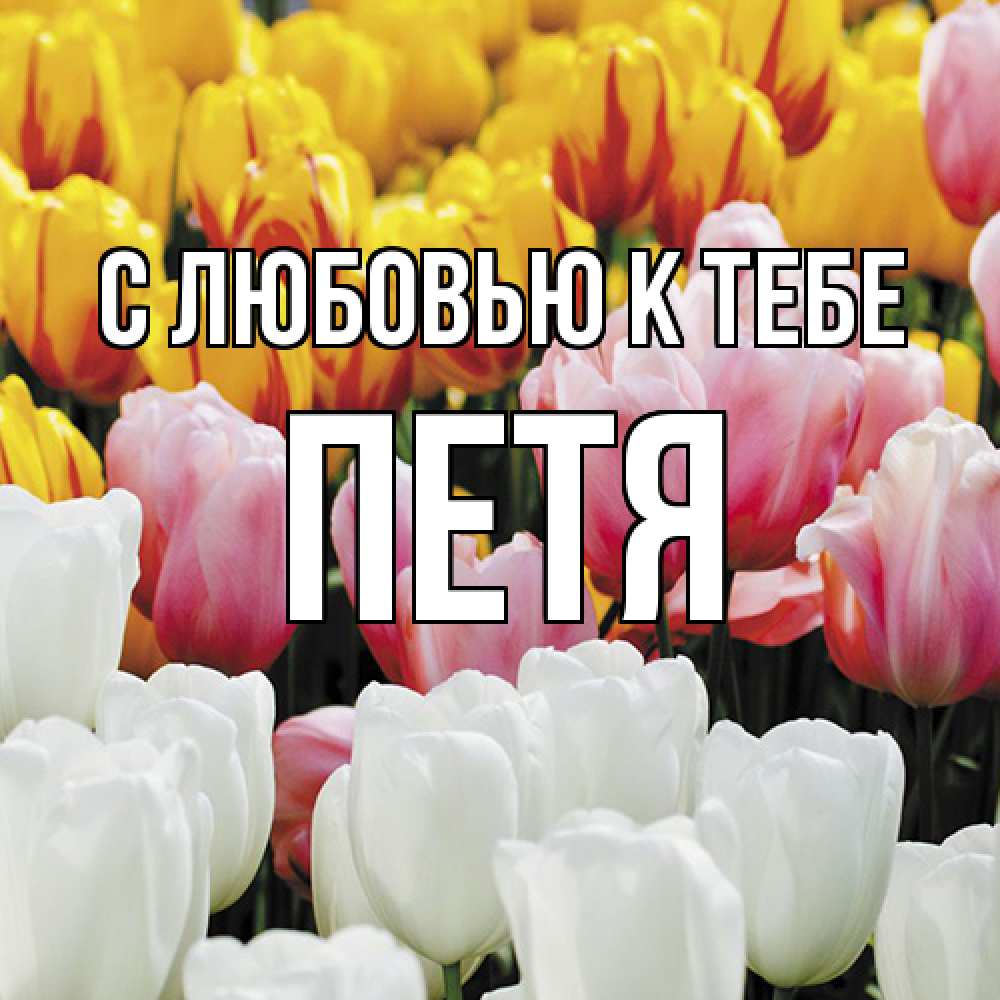 Открытка  с именем. петя, С любовью к тебе  