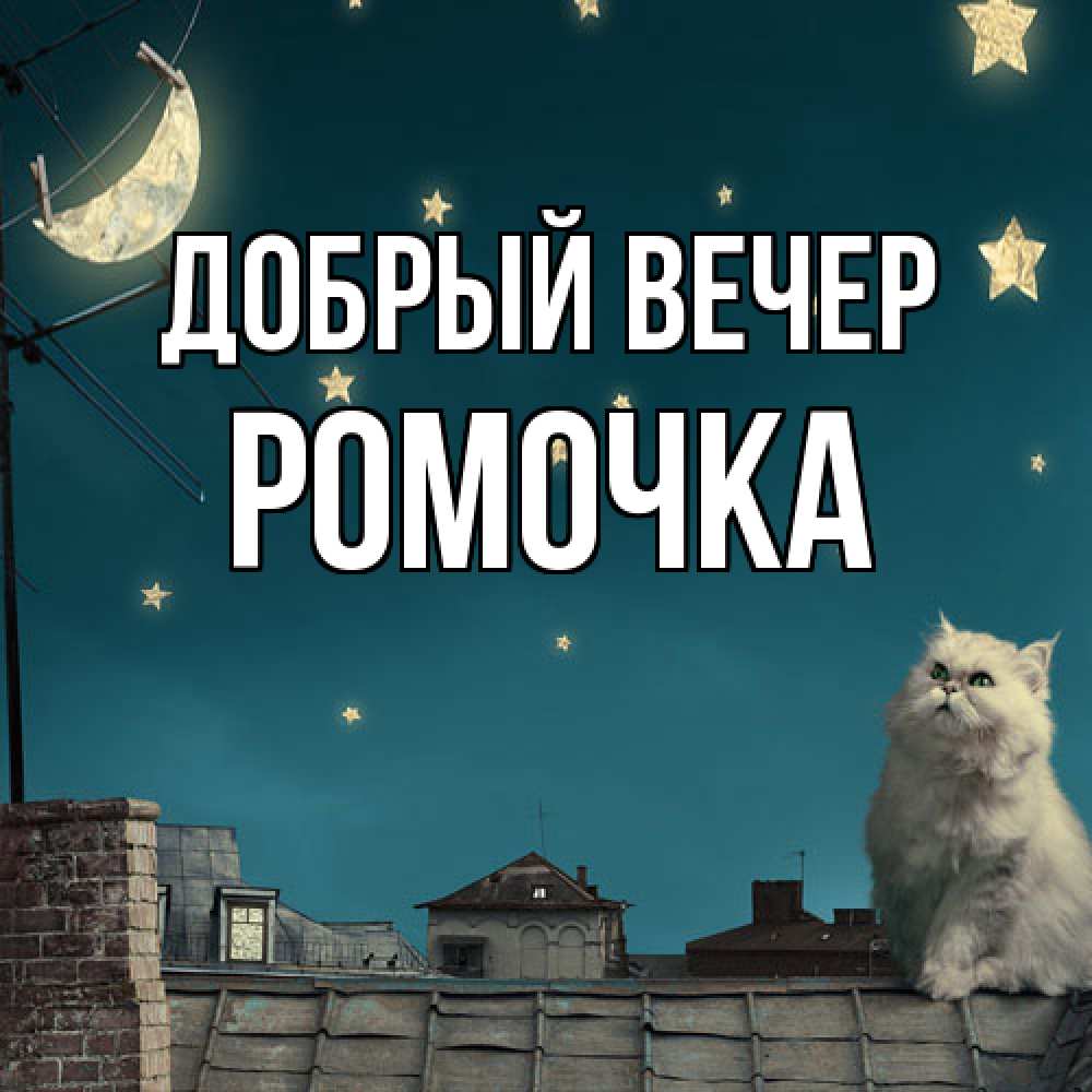 Открытка  с именем. Ромочка, Добрый вечер  