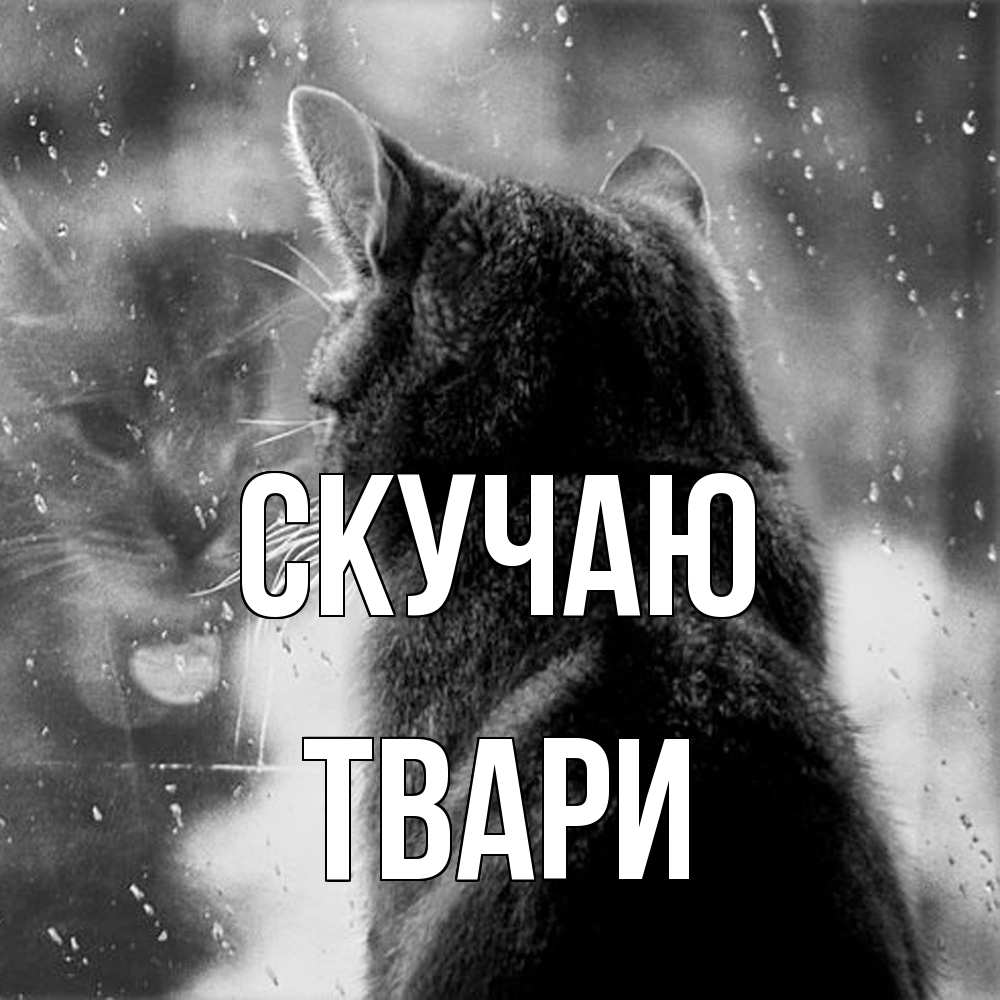 Открытка  с именем. твари, Скучаю  
