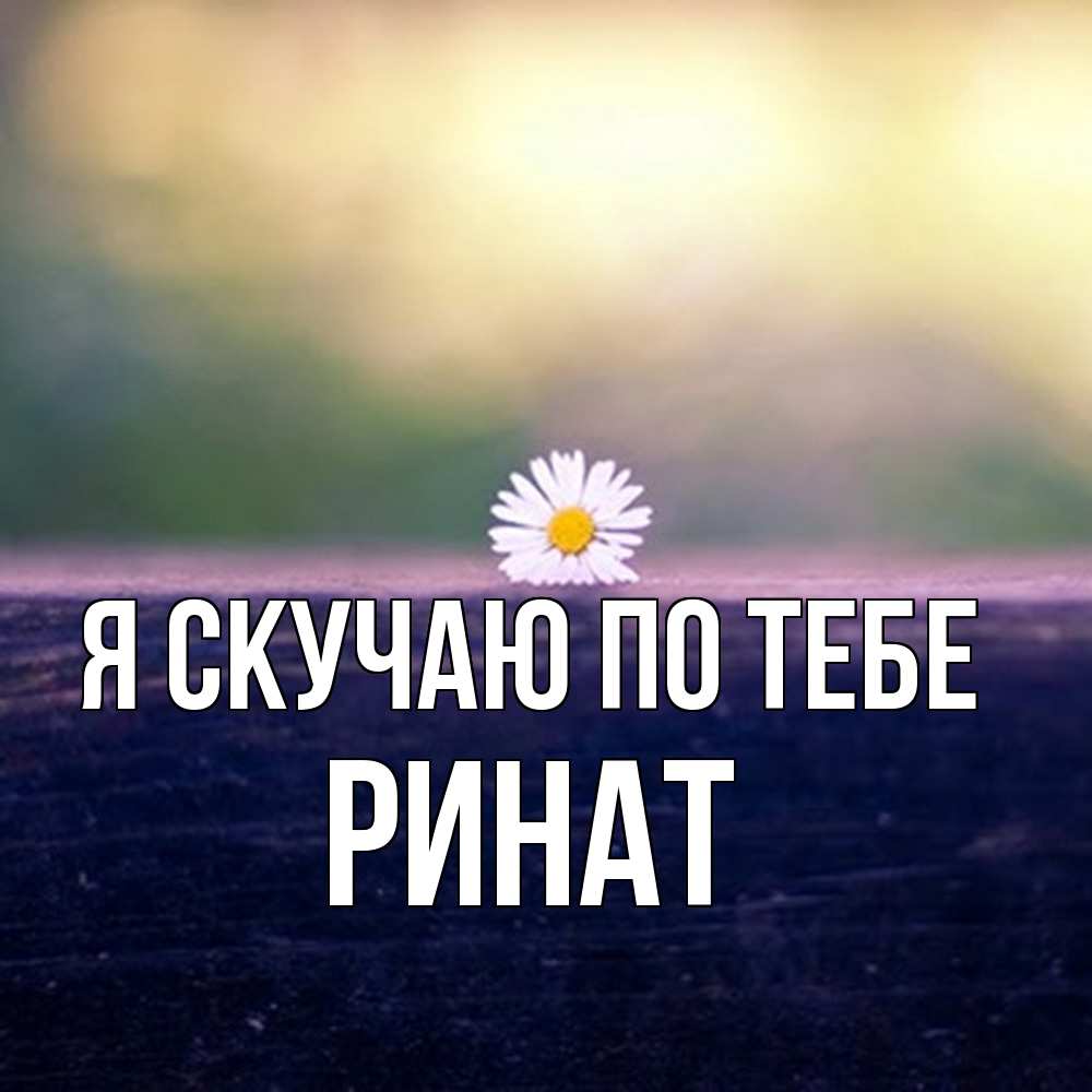 Открытка  с именем. Ринат, Я скучаю по тебе  