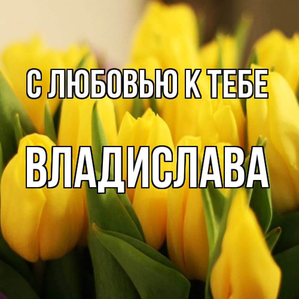 Открытка  с именем. Владислава, С любовью к тебе  
