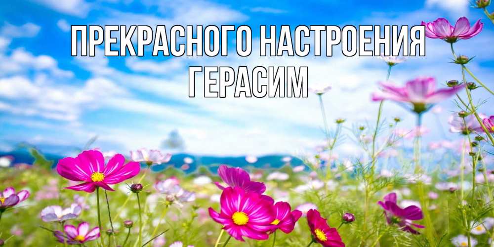 Открытка  с именем. Герасим, Прекрасного настроения  