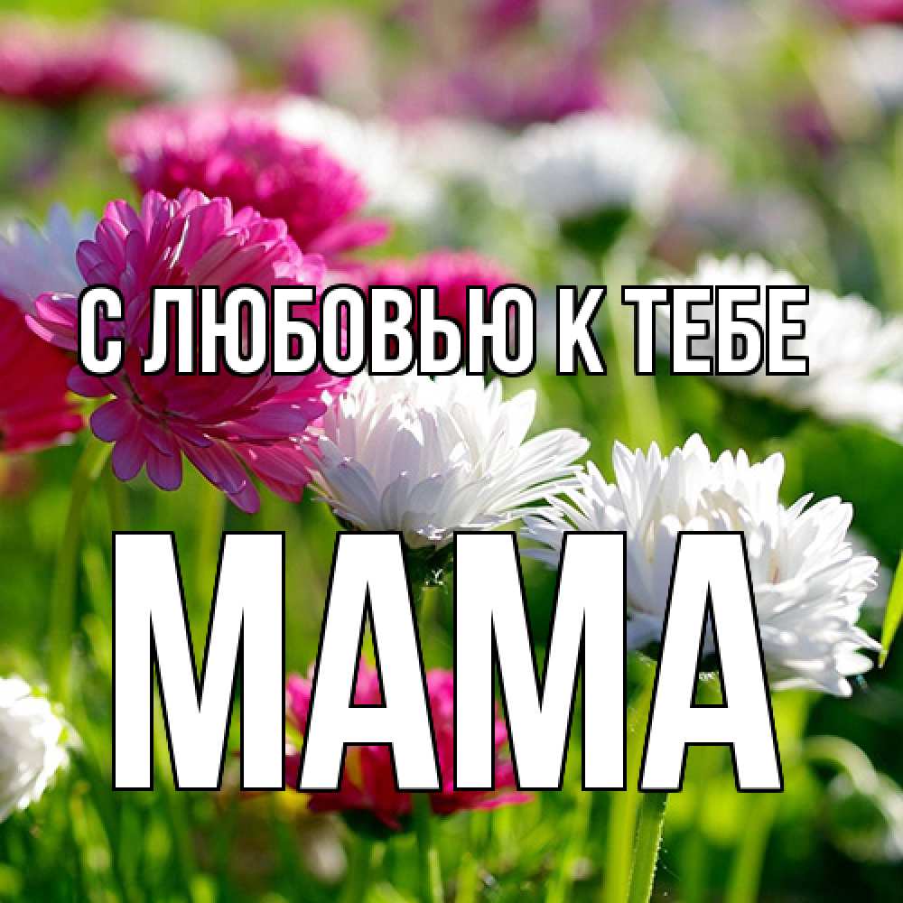 Открытка  с именем. Мама, С любовью к тебе  