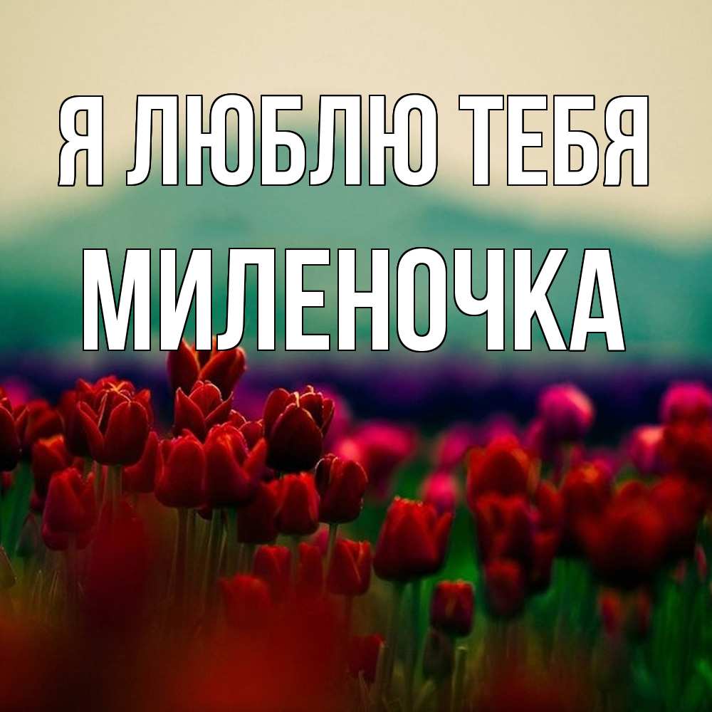 Открытка  с именем. Миленочка, Я люблю тебя  