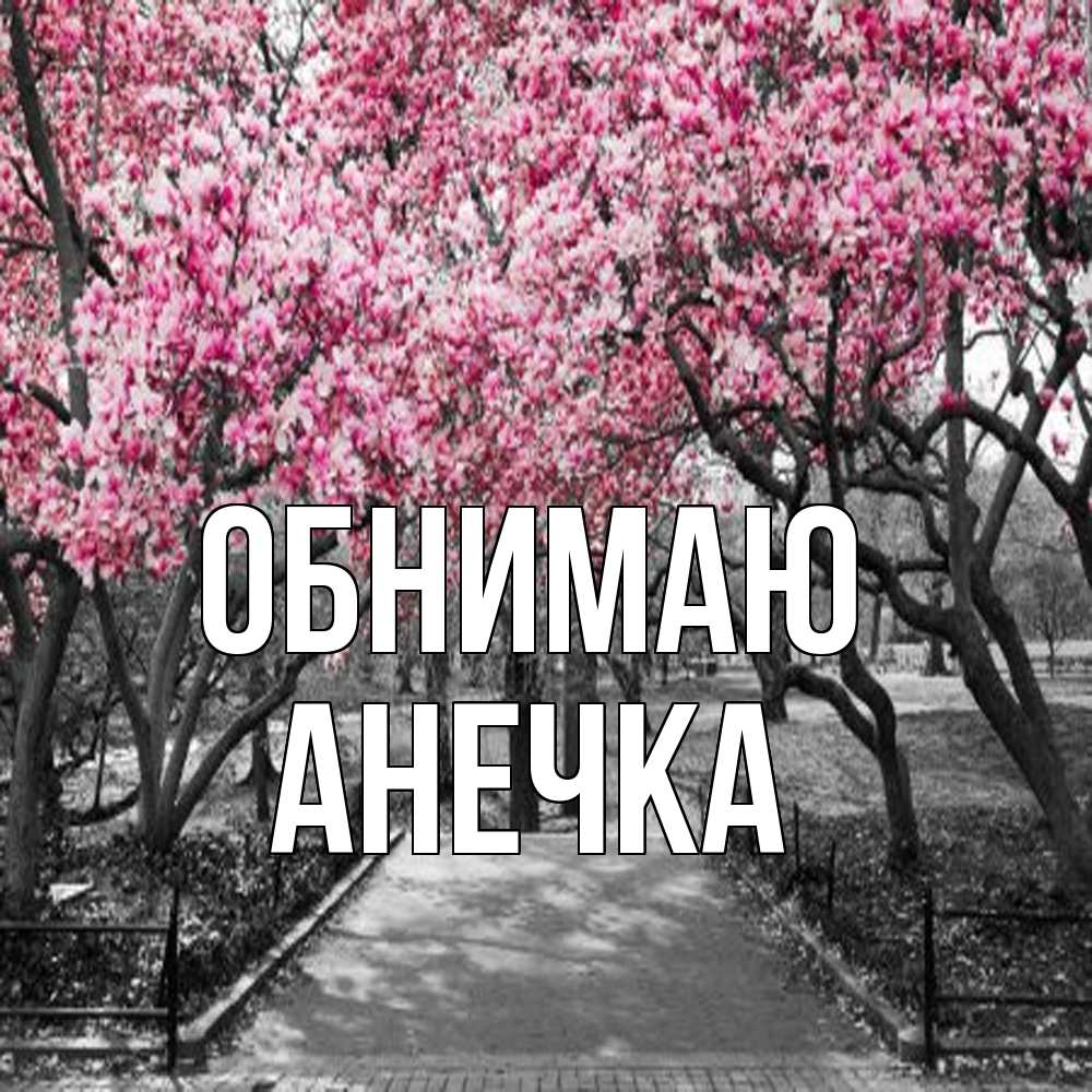 Открытка  с именем. анечка, Обнимаю  