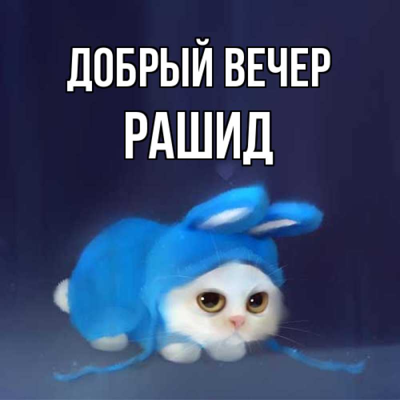 Картинка Добрый вечер, Рашид