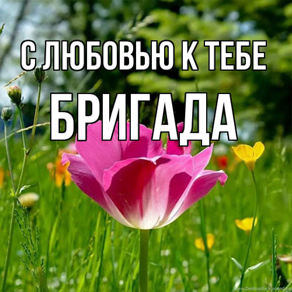 Открытка  с именем. Бригада, С любовью к тебе  