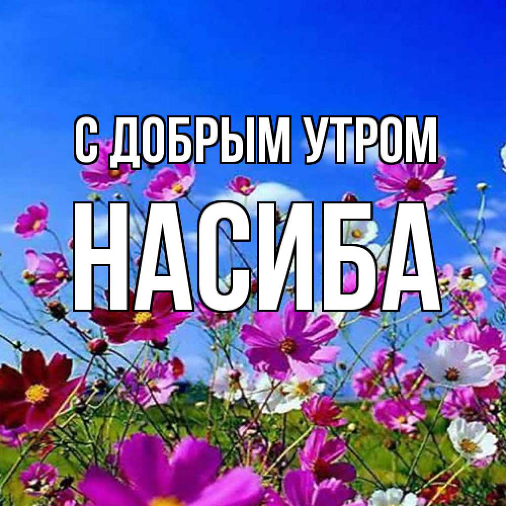 Открытка  с именем. Насиба, С добрым утром  