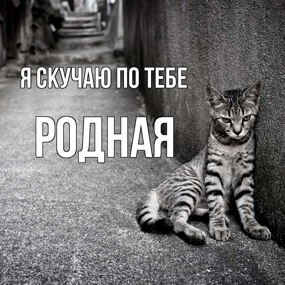 Открытка  с именем. Родная, Я скучаю по тебе  