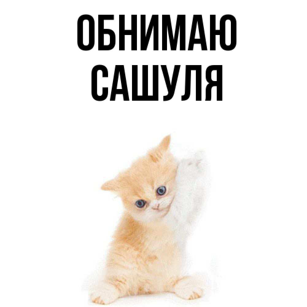 Открытка  с именем. Сашуля, Обнимаю  