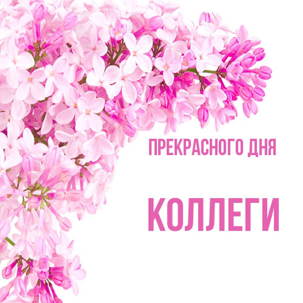 Открытка  с именем. коллеги, Прекрасного дня  