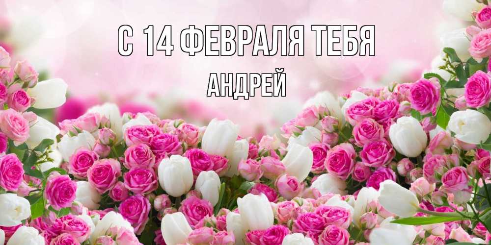 Открытка  с именем. Андрей, С 14 февраля тебя  