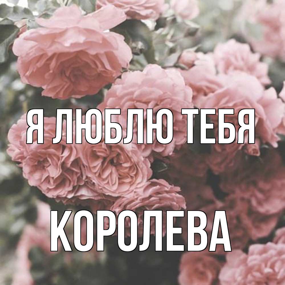 Открытка  с именем. Королева, Я люблю тебя  