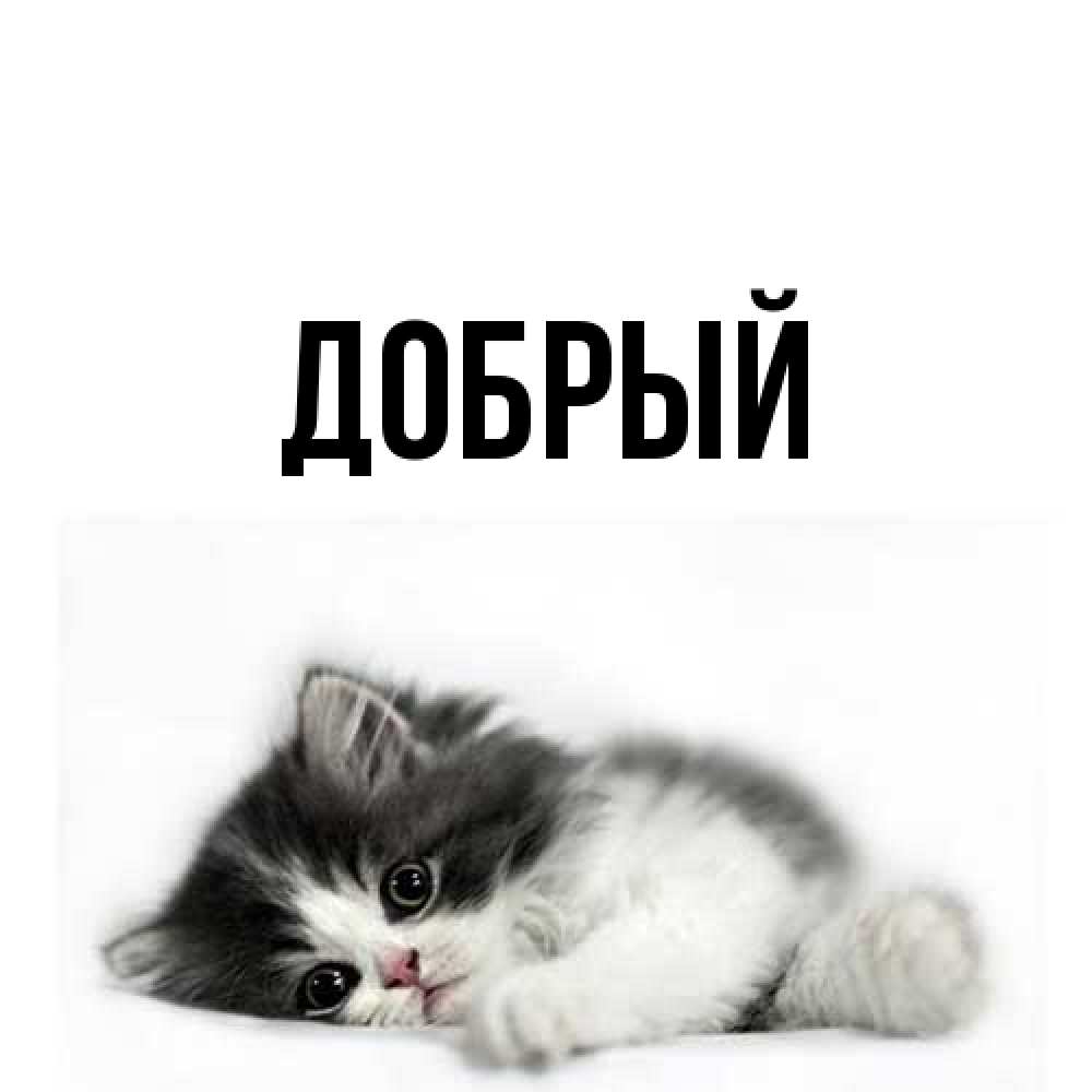 Открытка  с именем. Добрый, Главная  