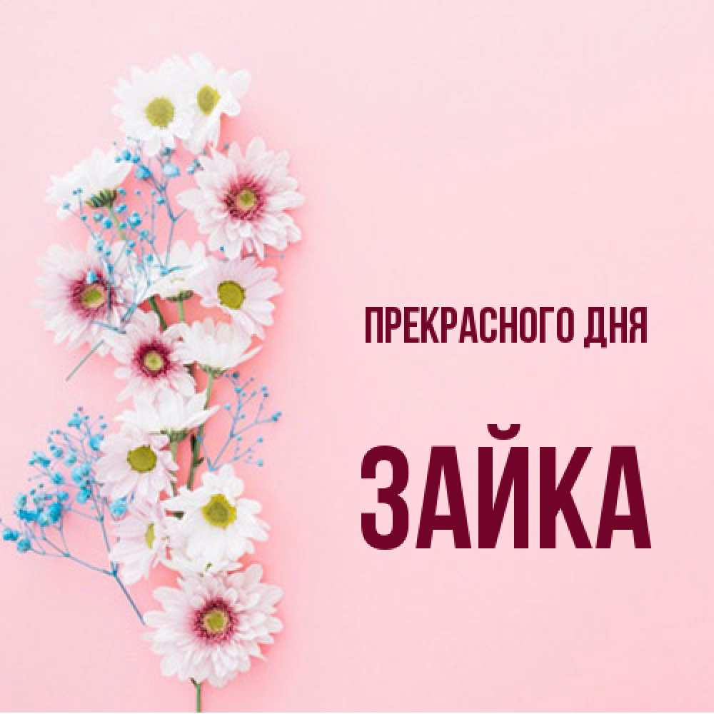 Открытка  с именем. Зайка, Прекрасного дня  