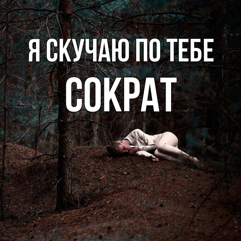 Картинка Я скучаю по тебе, Сократ