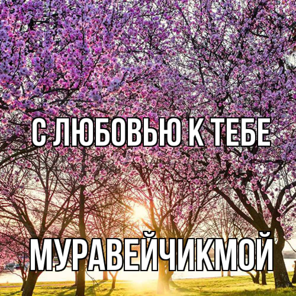 Открытка  с именем. Муравейчикмой, С любовью к тебе  