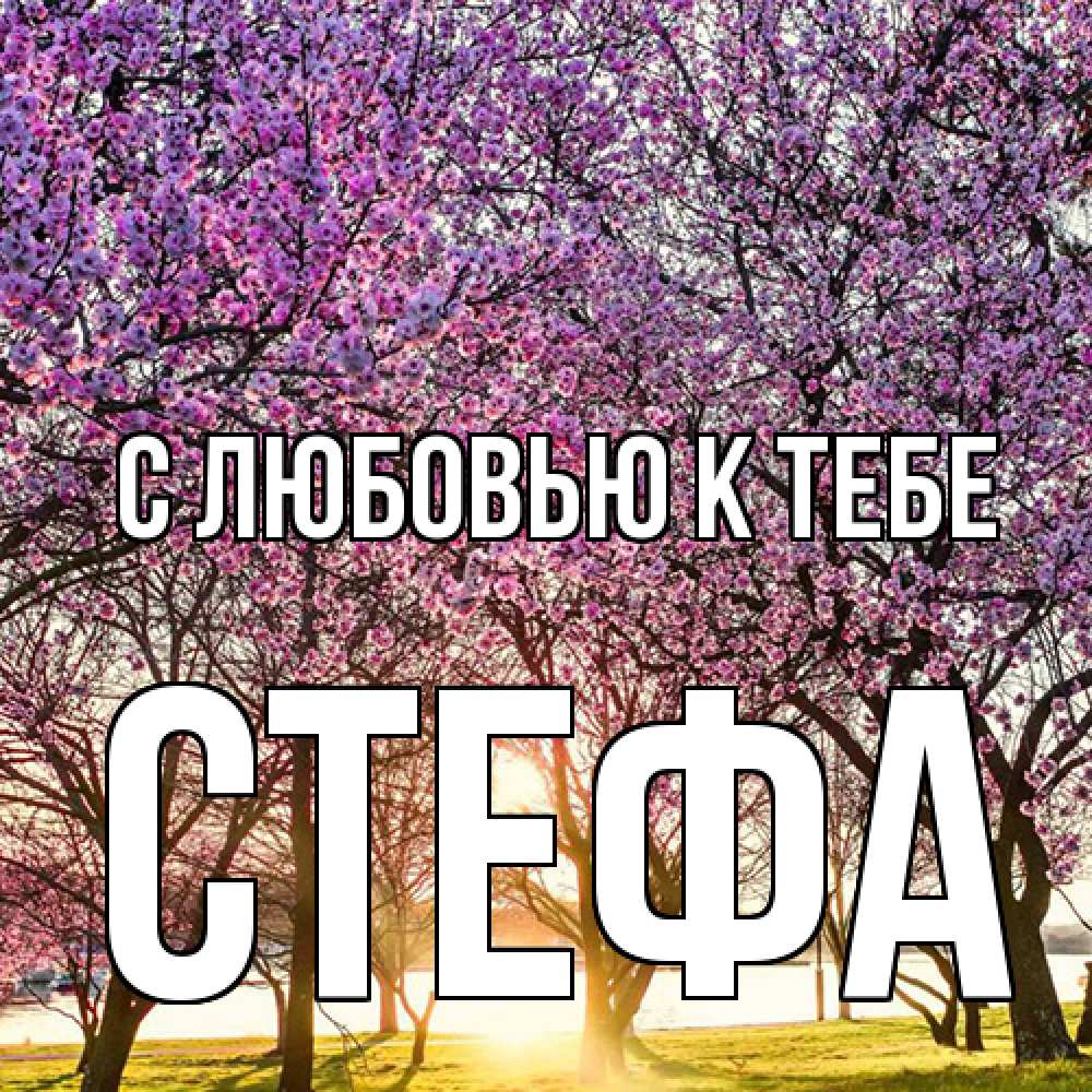 Открытка  с именем. стефа, С любовью к тебе  