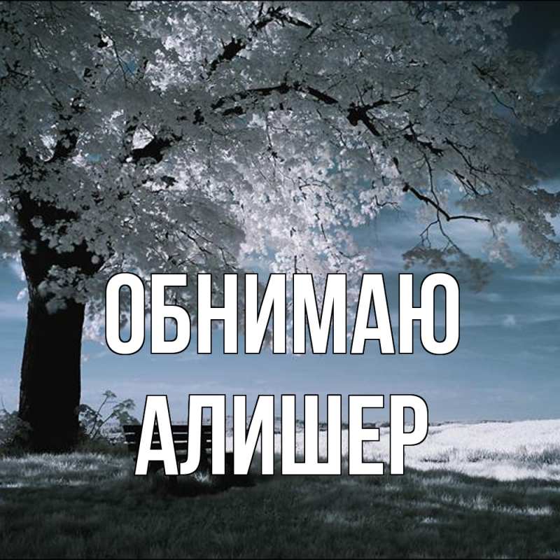 Картинка Обнимаю, Алишер